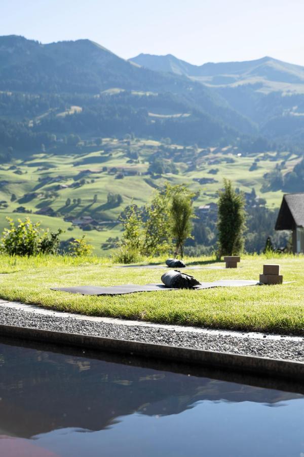 Lenk Lodge - Boutique & Design Hotel Und Apartements Екстериор снимка