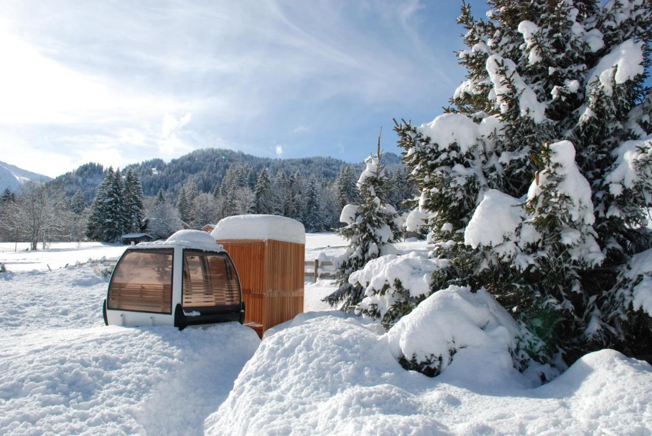Lenk Lodge - Boutique & Design Hotel Und Apartements Екстериор снимка